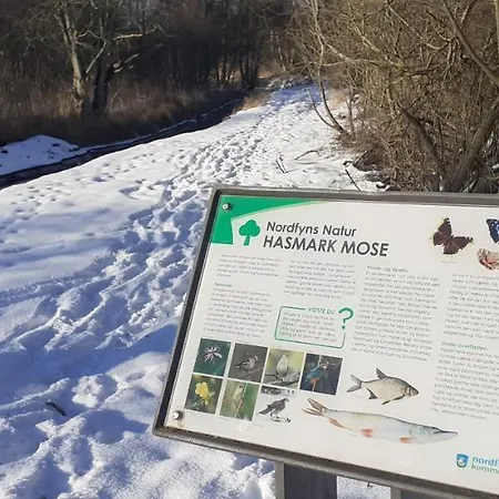 Bed & Breakfast Cozy Tiny Room, Mini Kitchen And Bathroom