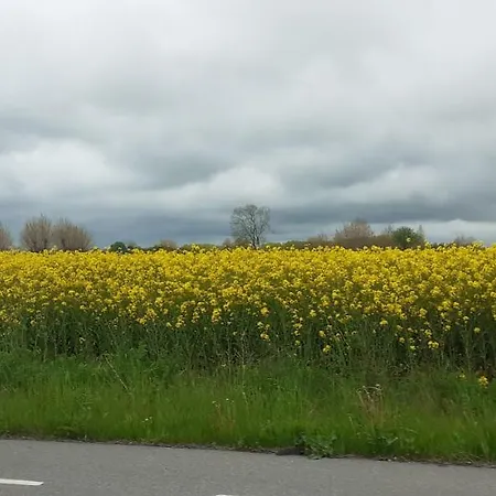 Cozy Tiny Room, Mini Kitchen And Bathroom