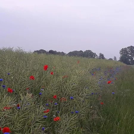 Bed and breakfast Cozy Tiny Room, Mini Kitchen And Bathroom 3*