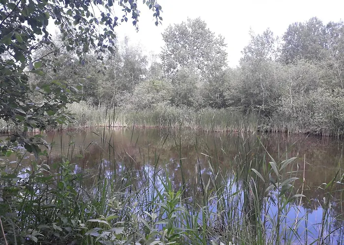 Cozy Tiny Room, Mini Kitchen And Bathroom 3* Оттеруп